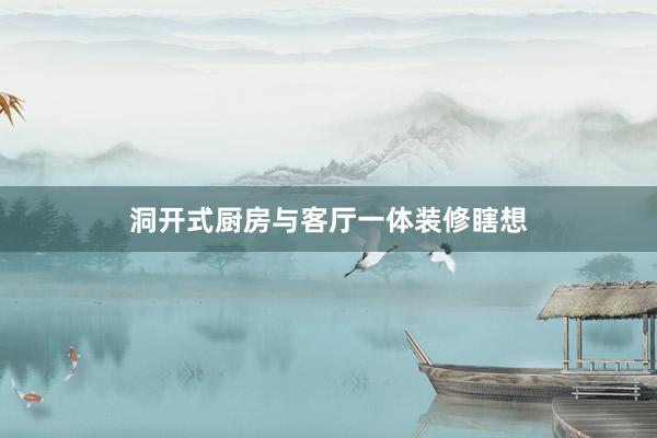 洞开式厨房与客厅一体装修瞎想