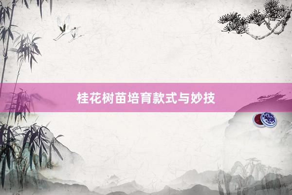 桂花树苗培育款式与妙技