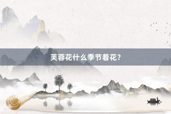 芙蓉花什么季节着花？