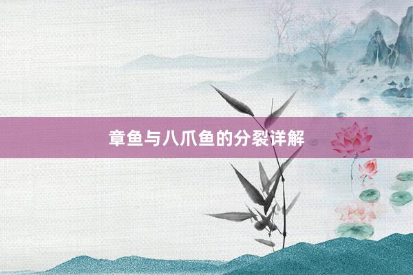 章鱼与八爪鱼的分裂详解